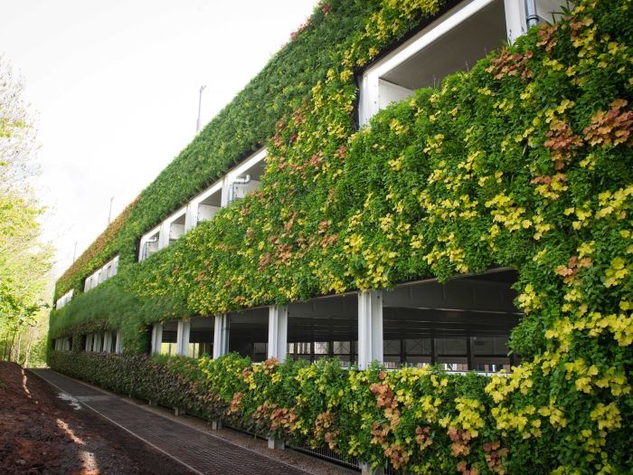 green wall